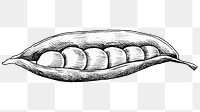 Png peas black and white illustration, transparent background