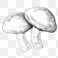 Png mushroom black and white illustration, transparent background