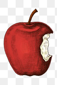 Png eaten apple illustration collage element, transparent background