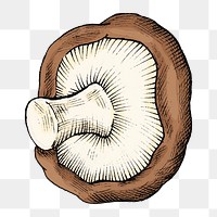 Png mushroom illustration collage element, transparent background