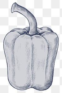 Png bell pepper illustration, transparent background