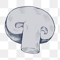 Png mushroom illustration, transparent background