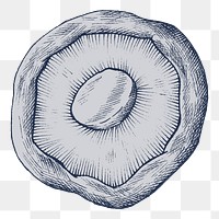 Png mushroom illustration, transparent background