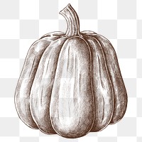 Png pumpkin illustration collage element, transparent background