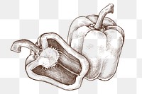 Png bell pepper illustration collage element, transparent background