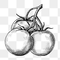 Png tomatoes black and white illustration, transparent background