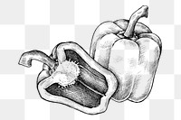 Png bell pepper black and white illustration, transparent background