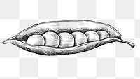 Png peas black and white illustration, transparent background