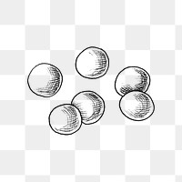 Png peas black and white illustration, transparent background