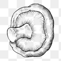 Png mushroom black and white illustration, transparent background