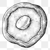 Png mushroom black and white illustration, transparent background