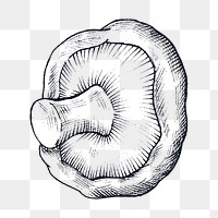 Png mushroom black and white illustration, transparent background