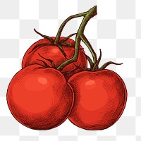 Png tomatoes illustration collage element, transparent background