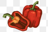 Png bell pepper illustration collage element, transparent background
