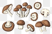 Png mushroom illustration set, transparent background