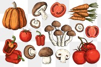 Png vegetable collage element set, transparent background