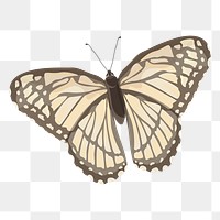 PNG beige butterfly illustration, transparent background