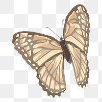 PNG beige butterfly illustration, transparent background