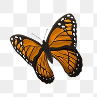 PNG orange butterfly illustration, transparent background