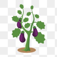 Eggplant tree png clipart illustration, transparent background. Free public domain CC0 image.