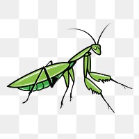 Mantis png clipart illustration, transparent background. Free public domain CC0 image.