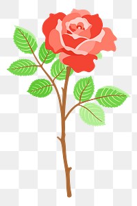 Red rose png clipart illustration, transparent background. Free public domain CC0 image.