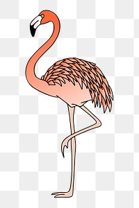 Pink flamingo png clipart illustration, transparent background. Free public domain CC0 image.