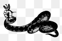 PNG Hand choking snake, clipart, transparent background