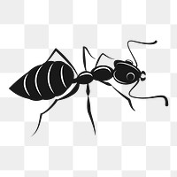 PNG Ant silhouette, clipart, transparent background