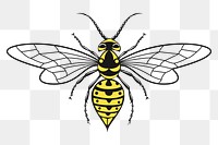 PNG Wasp, clipart, transparent background