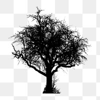 PNG Yet Another Winter Tree Silhouette, clipart, transparent background