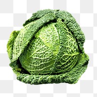 PNG Raw fresh natural green cabbage, collage element, transparent background