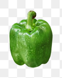 PNG green bell pepper, collage element, transparent background