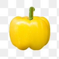 PNG yellow bell pepper, collage element, transparent background