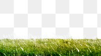 PNG Green field collage element, transparent background