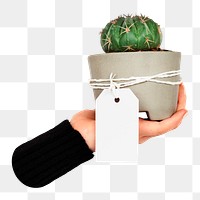 PNG Potted plant tag  transparent background