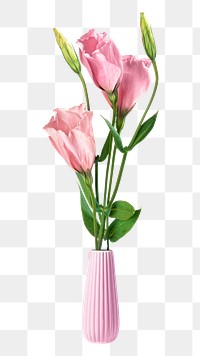 Pink tulip vase collage element, transparent background