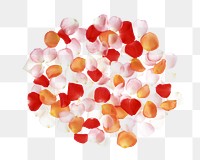 Red flower petals png collage element, transparent background