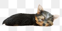 PNG cute puppy, collage element, transparent background