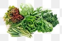 PNG Vegetables, collage element, transparent background