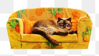 Cat on sofa animal png, transparent background