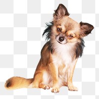 PNG cute dog, collage element, transparent background