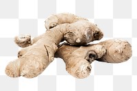 Ginger vegetable png, transparent background