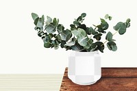 Houseplant pot png mockup, transparent design
