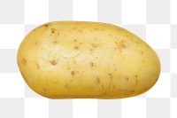 PNG potato, collage element, transparent background