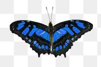 Blue butterfly png collage element, transparent background