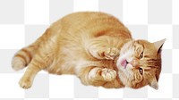 Tabby cat png collage element, transparent background