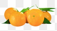 Mandarin oranges  png, transparent background