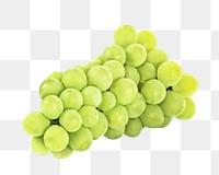 PNG green grapes, collage element, transparent background