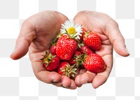 PNG Red strawberries, collage element, transparent background.